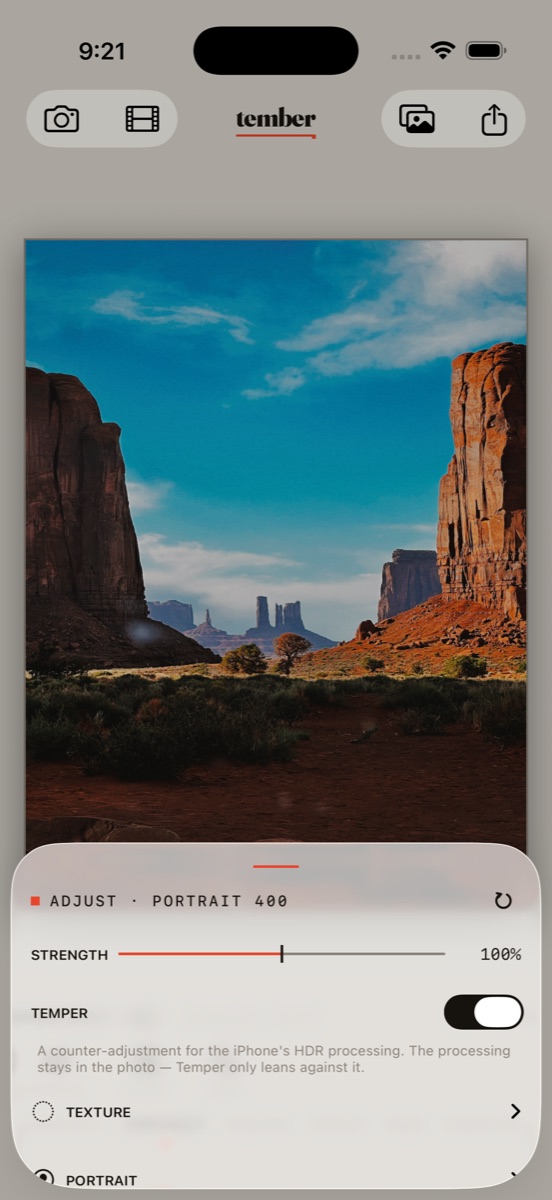 The Tember adjust sheet — strength, temper and texture controls over a developed photograph