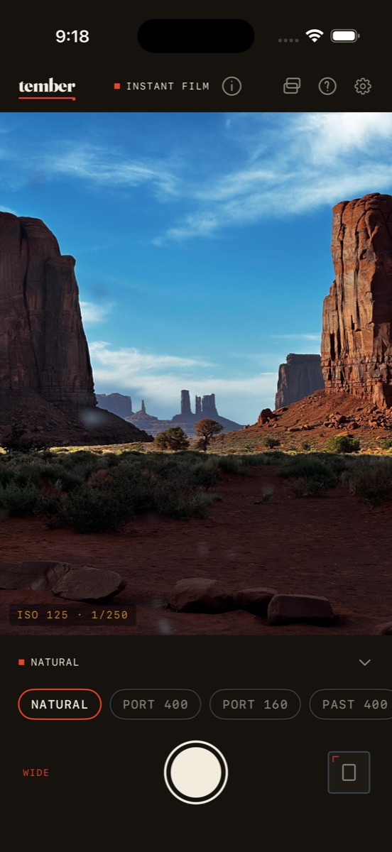 The Tember camera on Natural — a neutral viewfinder with film stock chips
